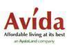 Avida Land